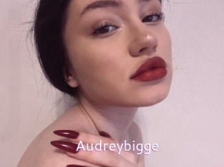 Audreybigge