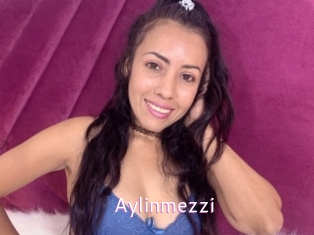 Aylinmezzi