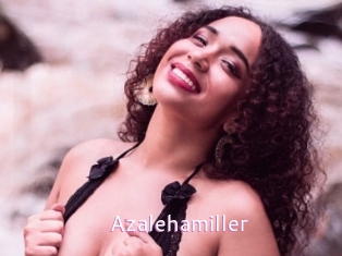 Azalehamiller