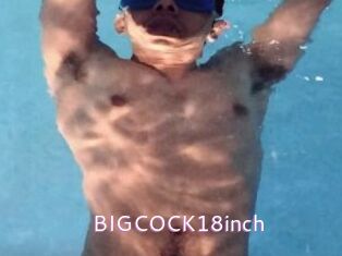 BIGCOCK18inch