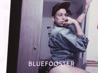 BLUEFOOSTER