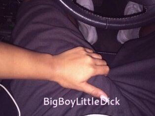 BigBoyLittleDick