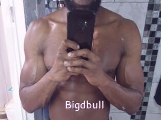 Bigdbull