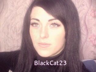 BlackCat23