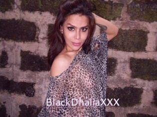 BlackDhaliaXXX