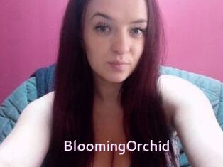 BloomingOrchid Just Amateurs