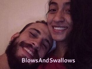 BlowsAndSwallows