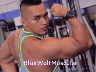 BlueWolfMuscular