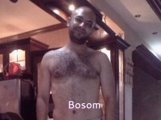 Bosom