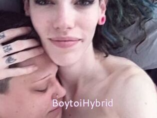 BoytoiHybrid