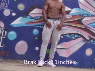 Brak_Dick11inches