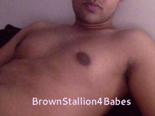 BrownStallion4Babes