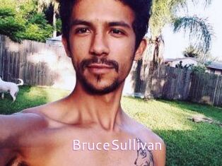 Bruce_Sullivan