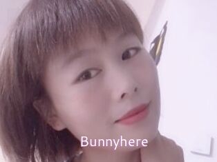 Bunnyhere