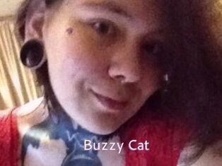 Buzzy_Cat