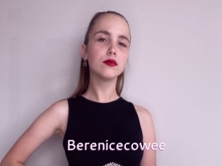 Berenicecowee