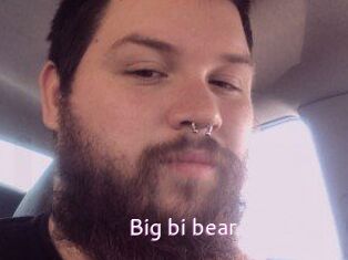 Big_bi_bear