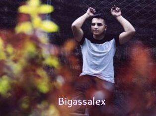 Bigassalex