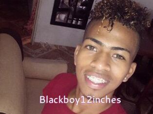 Blackboy12inches