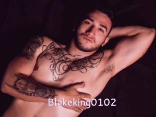 Blakeking0102