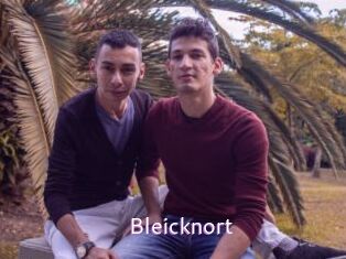 Bleicknort