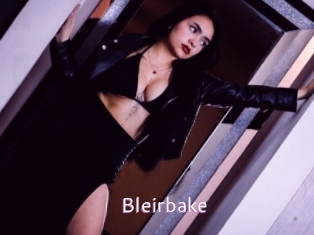 Bleirbake