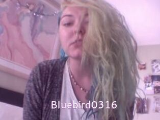 Bluebird0316