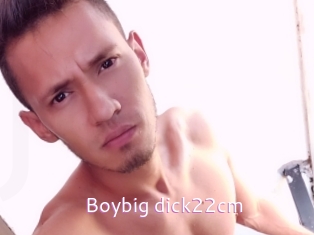 Boybig_dick22cm