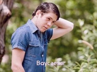 Boycaesar