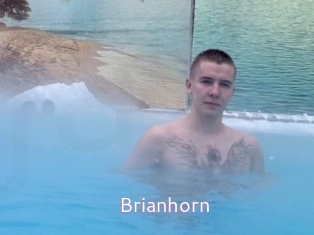 Brianhorn