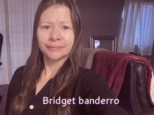 Bridget_banderro