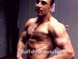 Bull_dosemuscles