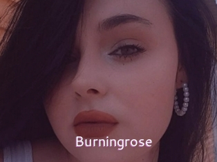 Burningrose