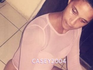 CASEY2004