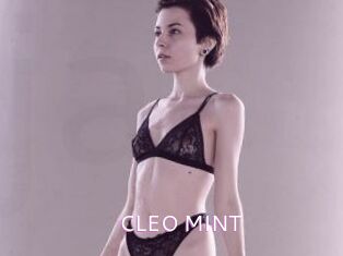 CLEO_MINT