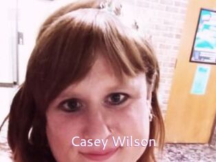 Casey_Wilson