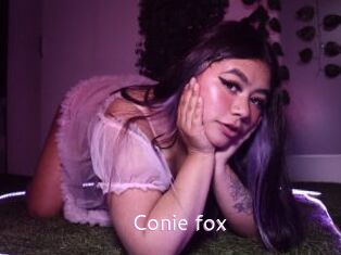 Conie_fox