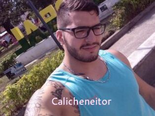 Calicheneitor