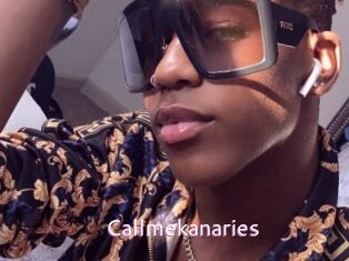 Callmekanaries