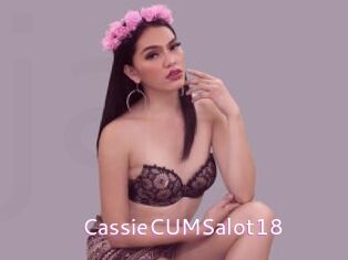 CassieCUMSalot18