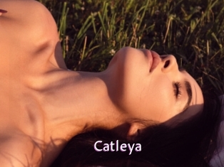 Catleya