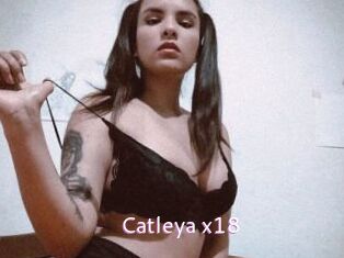 Catleya_x18