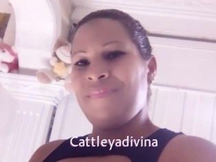 Cattleyadivina