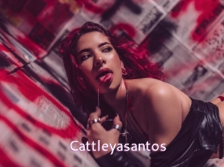 Cattleyasantos