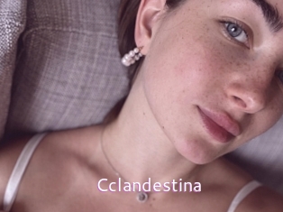 Cclandestina