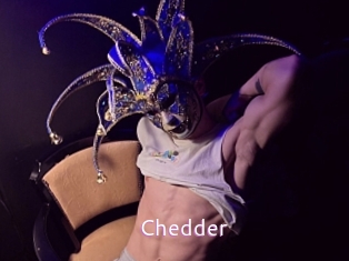 Chedder