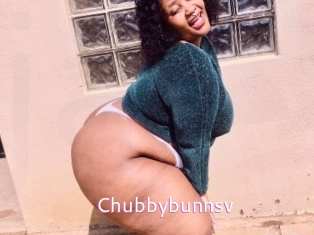 Chubbybunnsv