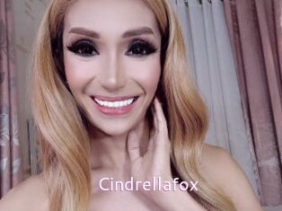 Cindrellafox