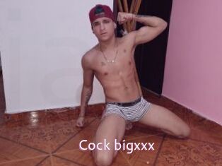 Cock_bigxxx