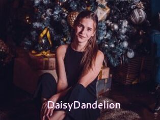 DaisyDandelion